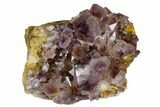 Wide, Amethyst Crystal Cluster - South Africa #115391-1